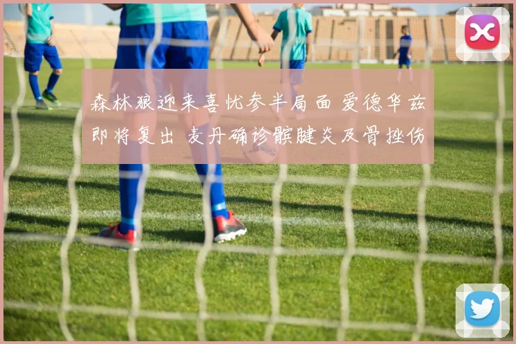 森林狼迎来喜忧参半局面 爱德华兹即将复出 麦丹确诊髌腱炎及骨挫伤
