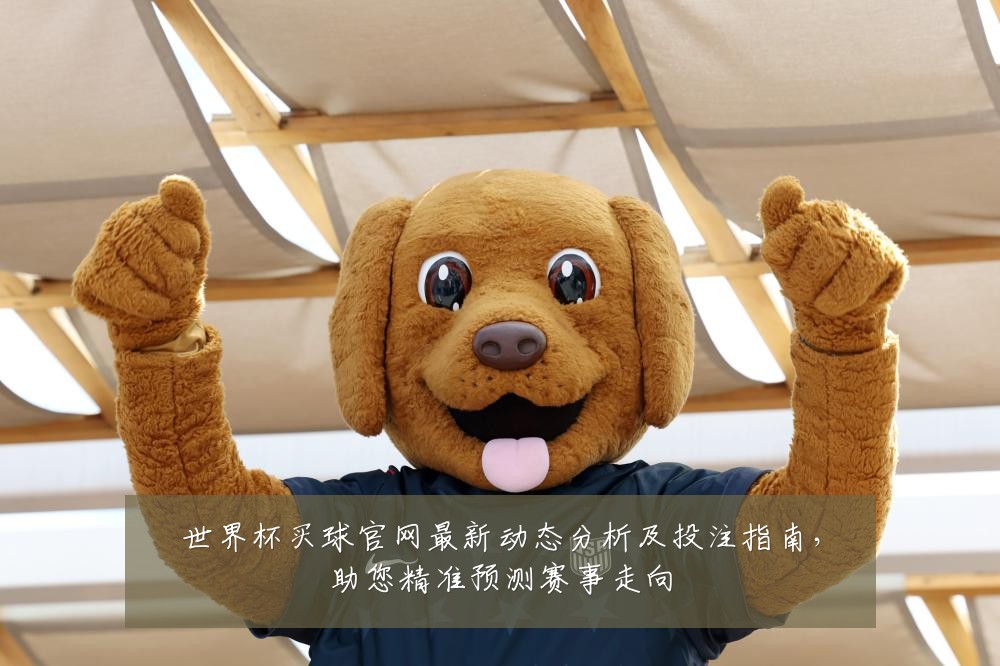 世界杯买球官网最新动态分析及投注指南，助您精准预测赛事走向