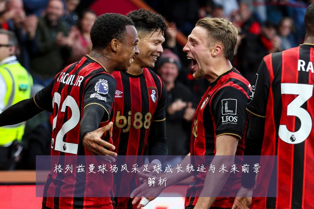 格列兹曼球场风采足球成长轨迹与未来前景解析